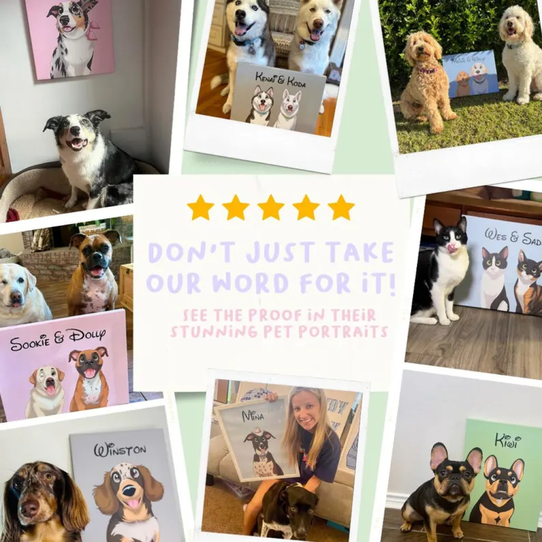 Custom Cartoon Pet Portrait | Cat, Dog, Horse, Rabbit Portrait From Photo | Cartoon Style | Custom Gift | Digital Prints | Illustration Art